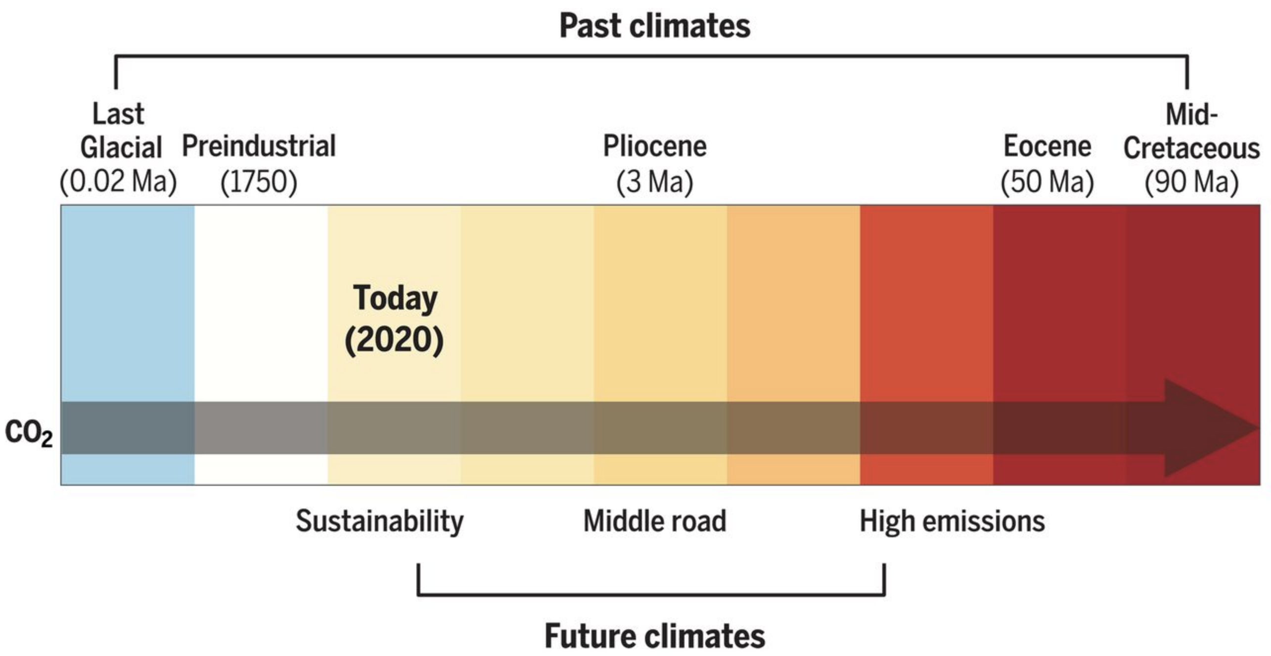 Relationship between past and future temperature