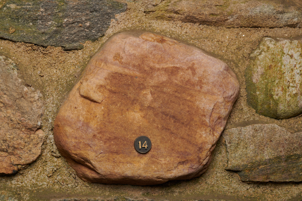 Specimen stone for Kansas.