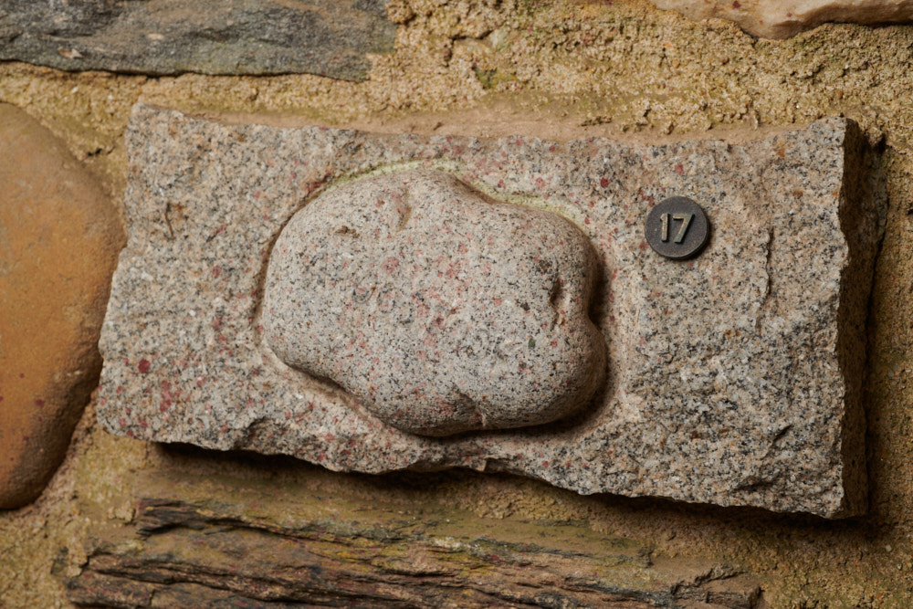 Specimen stone for Maine.