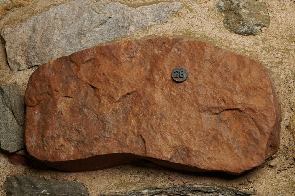 Specimen stone for New Jersey.
