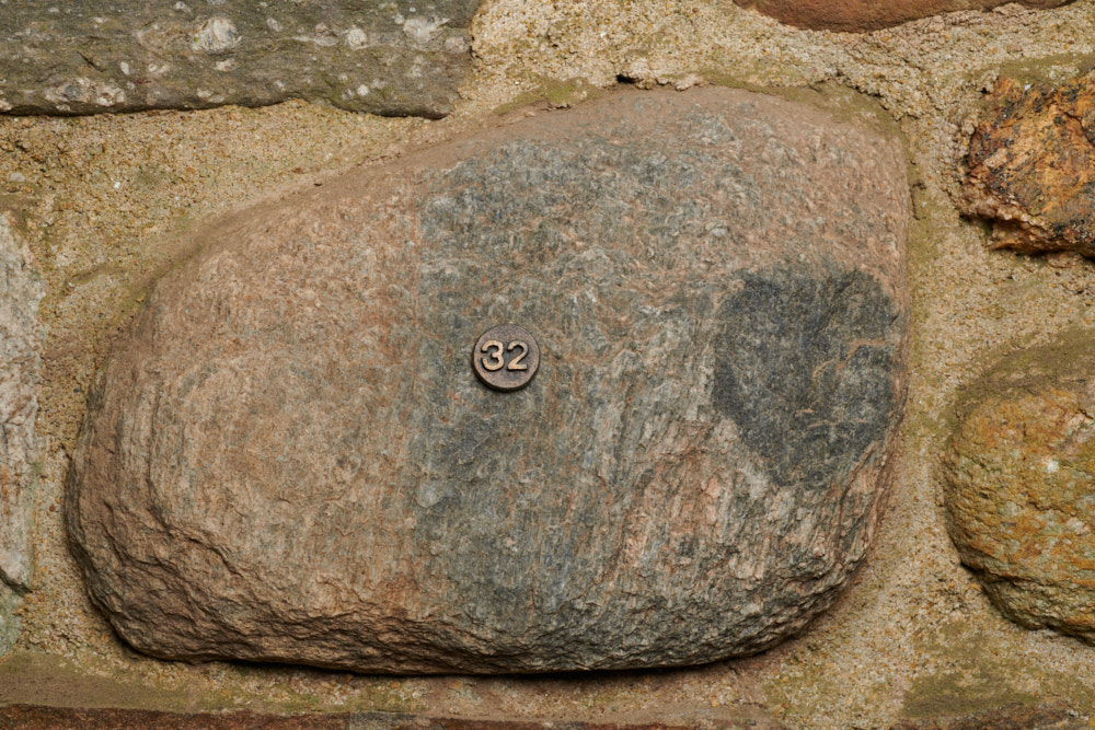 Specimen stone for North Dakota.