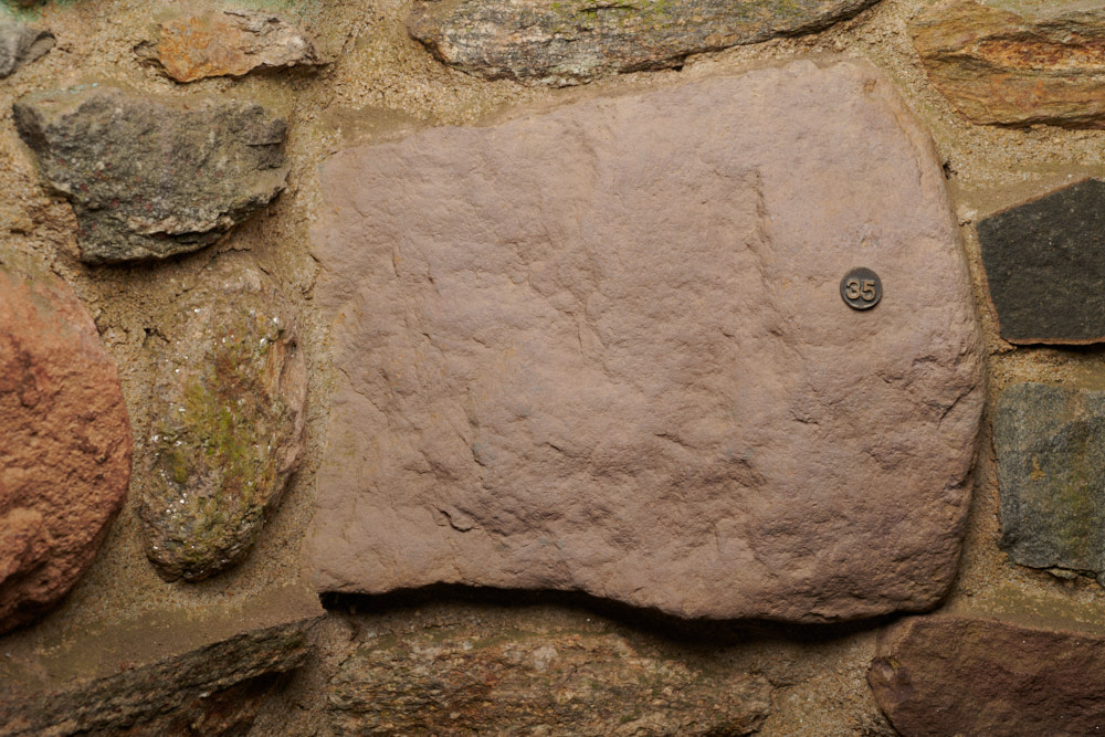 Specimen stone for Oregon.