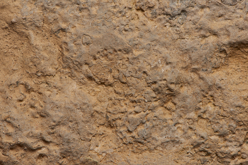 Closeup of Pennsylvania stone.