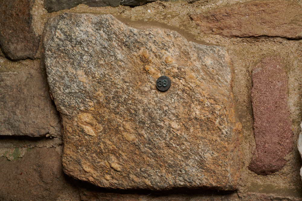 Specimen stone for South Carolina.