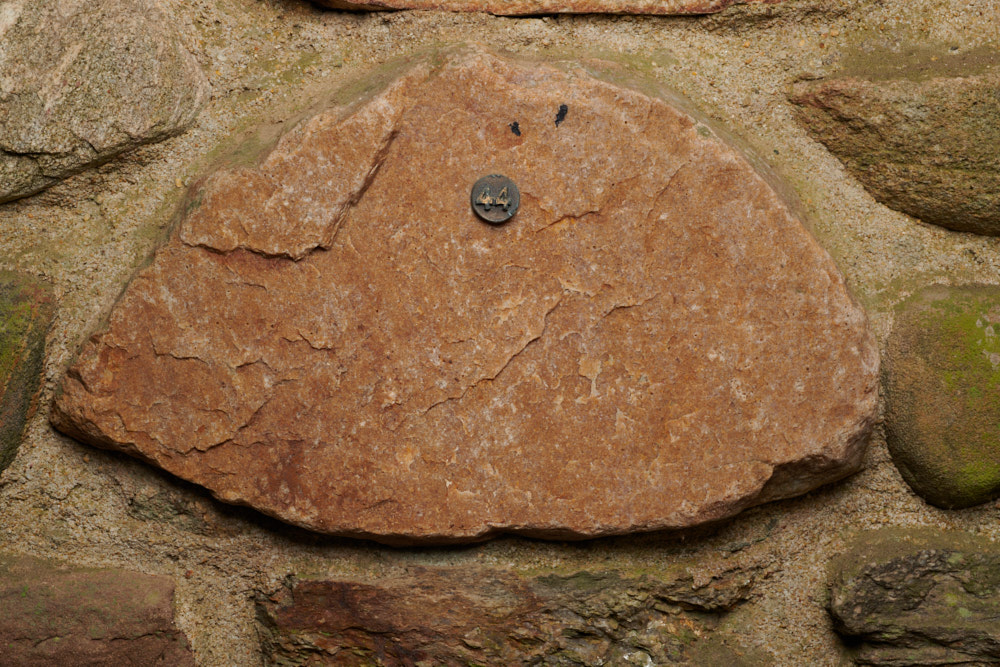 Specimen stone for Virginia.