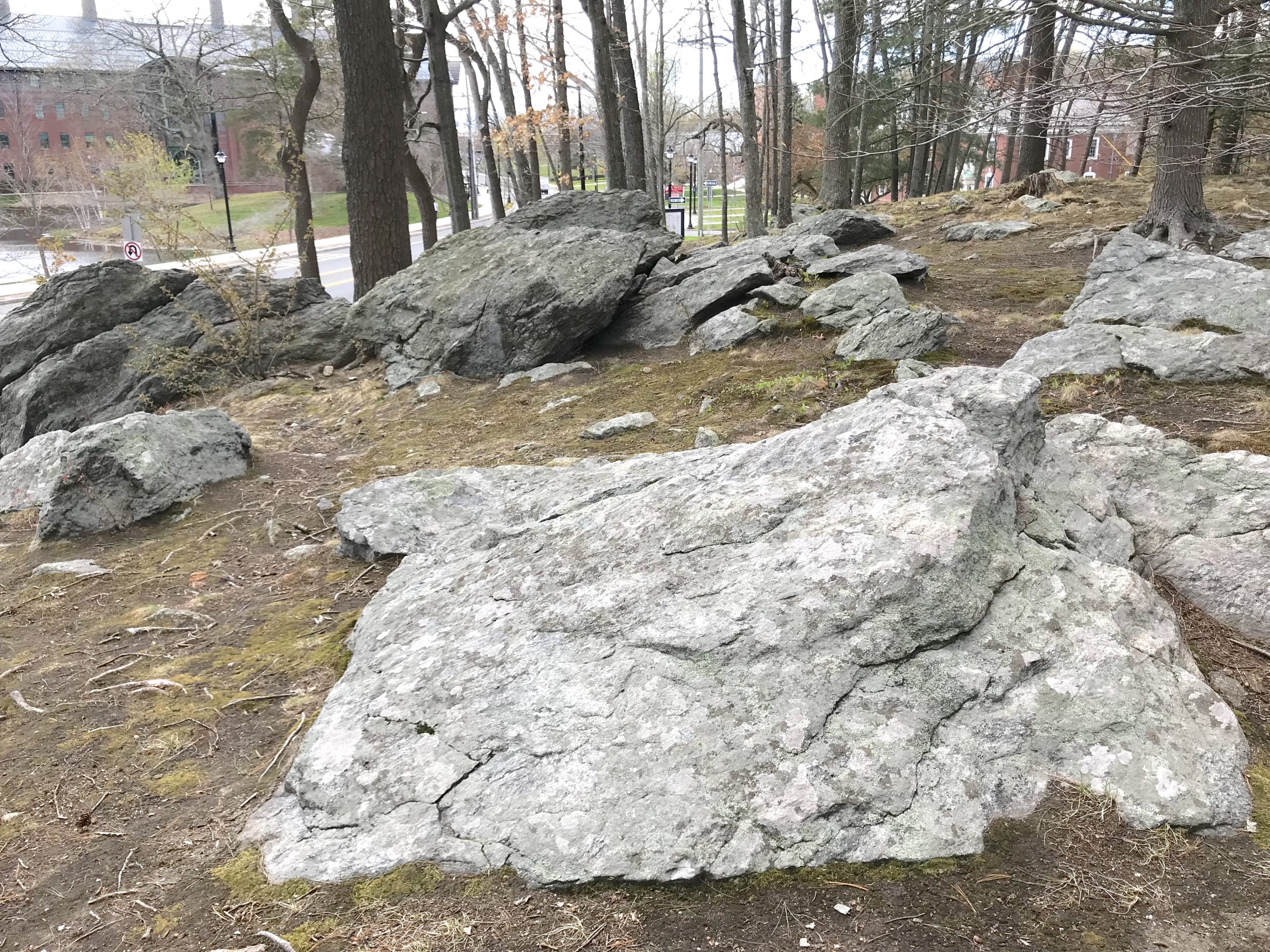 Slabs on Ridge.